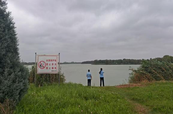 图片.png